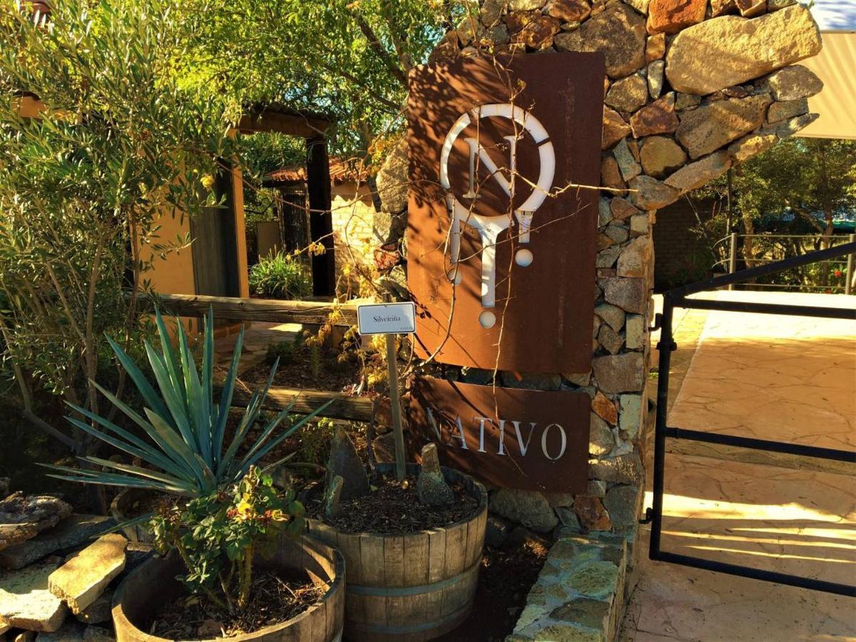 Suites Nativo - Beautiful Vineyard & Valley View Valle de Guadalupe Exteriör bild
